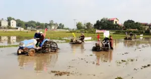 , lễ hội truyền thống