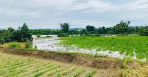 xả tràn thủy điện Đồng Nai