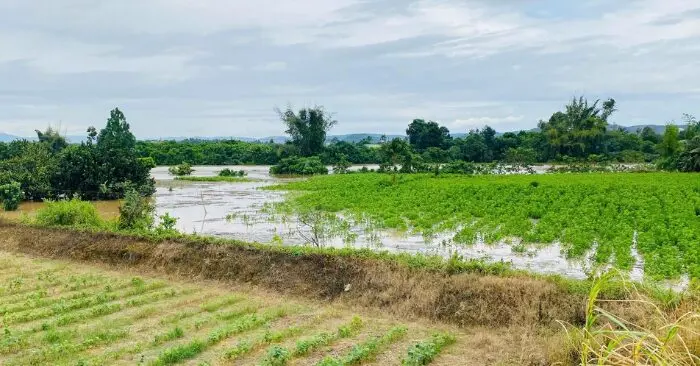 xả tràn thủy điện Đồng Nai
