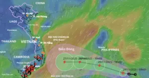 bão số 15