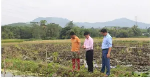 nuôi ốc thương phẩm Yên Trạch