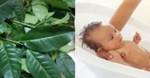Tắm lá trà xanh cho trẻ