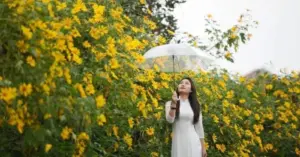 mùa dã quỳ Tân Cương