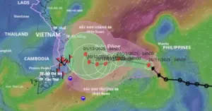 Bão số 15