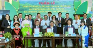 kết nối cung cầu sản phẩm