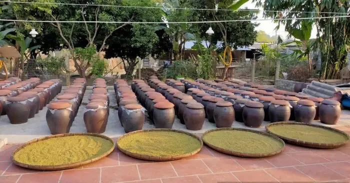 Tương nếp Úc Kỳ