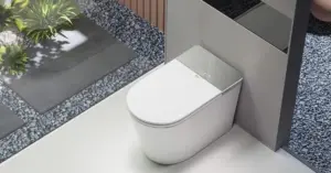 DeMuhler Nexa