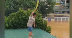 tiếp tế giữa lũ