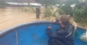thuyền thúng cứu người trong lũ.