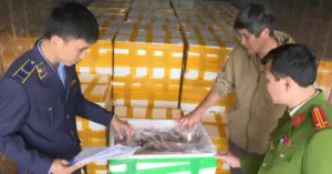 cá khoai ướp formol
