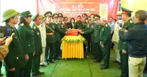 tình đồng đội