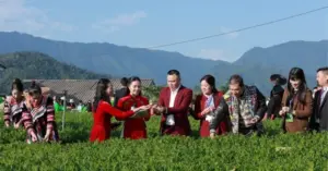 La Bằng – hương sắc trà Thái Nguyên