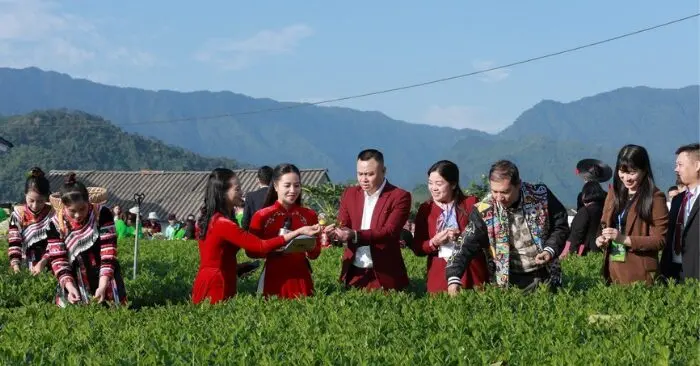 La Bằng – hương sắc trà Thái Nguyên
