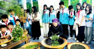 Học sinh với chè Thái Nguyên