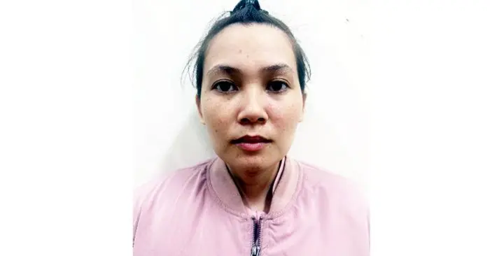 giả danh Việt kiều lừa đảo