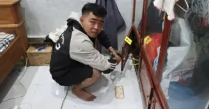 con rể trộm