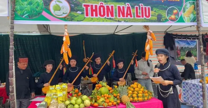 Ngày hội cam quýt Thái Nguyên