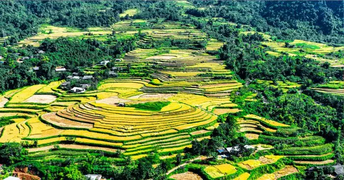 Đồng Phúc Thái Nguyên