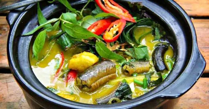 Cá chạch
