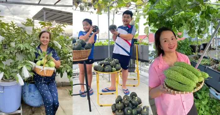 Khu vườn nông sản bốn mùa trên sân thượng.