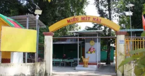 cây mít nài trăm tuổi
