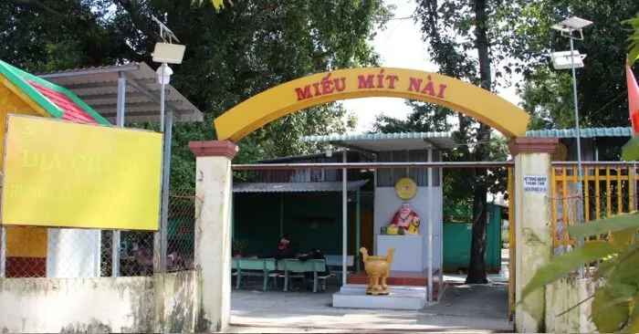 cây mít nài trăm tuổi