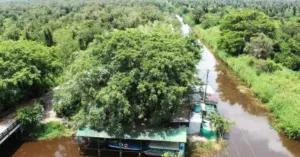 du lịch sinh thái U Minh Hạ