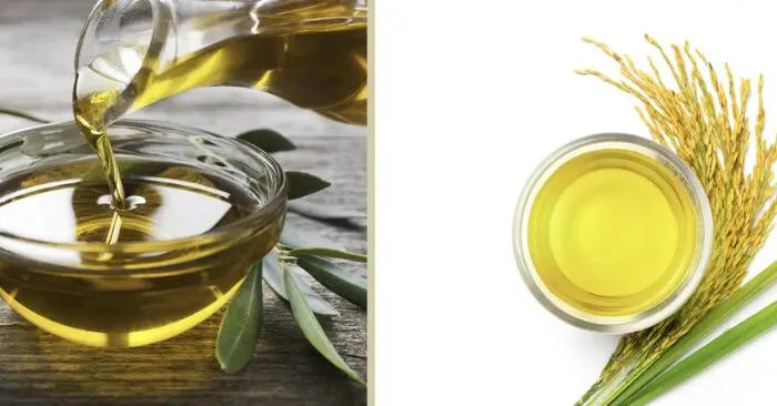 dầu olive và dầu gạo lứt