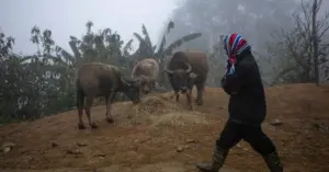rét đậm rét hại