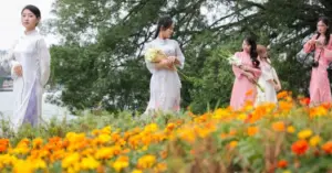 người trẻ Hà Nội chụp ảnh gió mùa