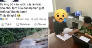 đăng tin giả bị xử phạt