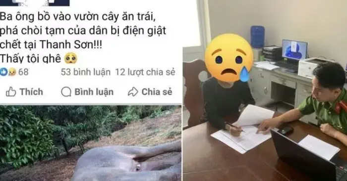 đăng tin giả bị xử phạt