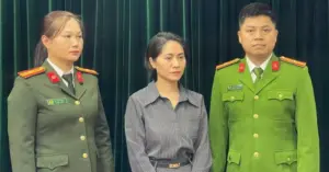 show Về đây bốn cánh chim trời