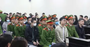 sữa giả Hiup