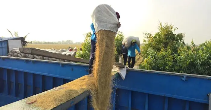dự trữ lương thực