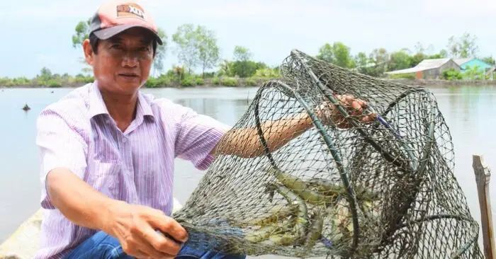 Đất đã ấm lên