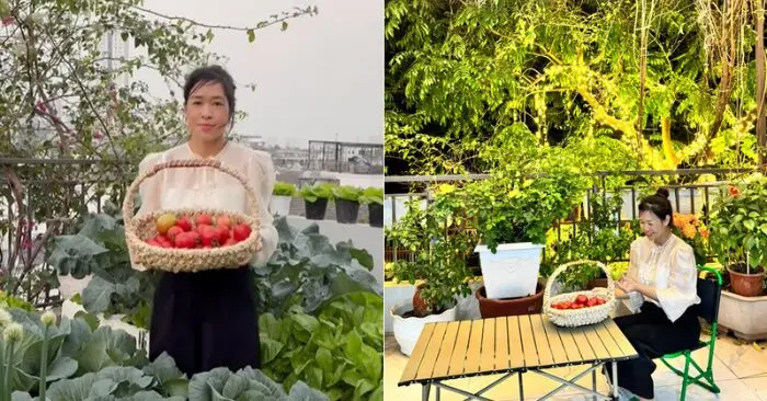vườn rau sân thượng