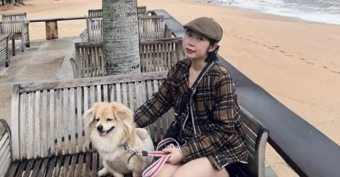 đột quỵ