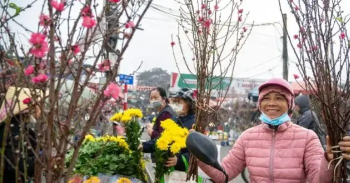 Hoa đào Hà Nội tháng Chạp
