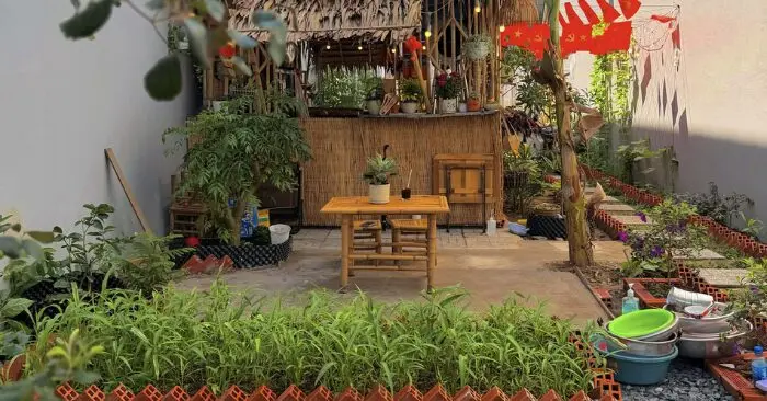 hai chàng trai thuê đất 10 triệu/năm