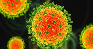 virus Nipah