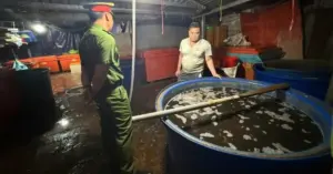 Ốc bươu ngâm thủy tinh lỏng