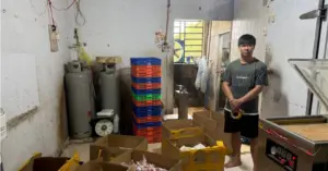 thịt giả
