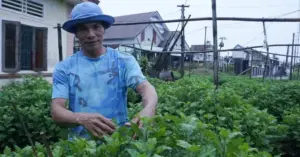 làng hoa hút hàng trước Tết