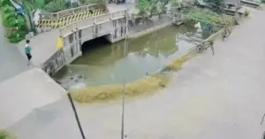 bé trai Hưng Yên cứu người