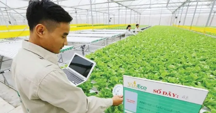 Nông nghiệp số
