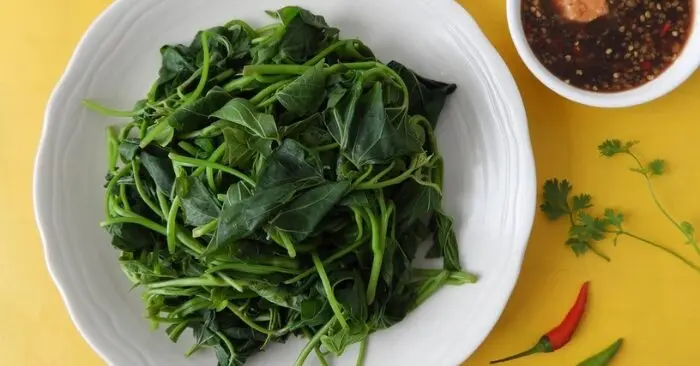 Rau khoai lang được nghiên cứu ức chế tế bào ung thư.