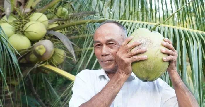 Xuất khẩu dừa