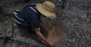 Cơn sốt vàng Australia