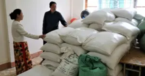 gạo hỗ trợ học sinh